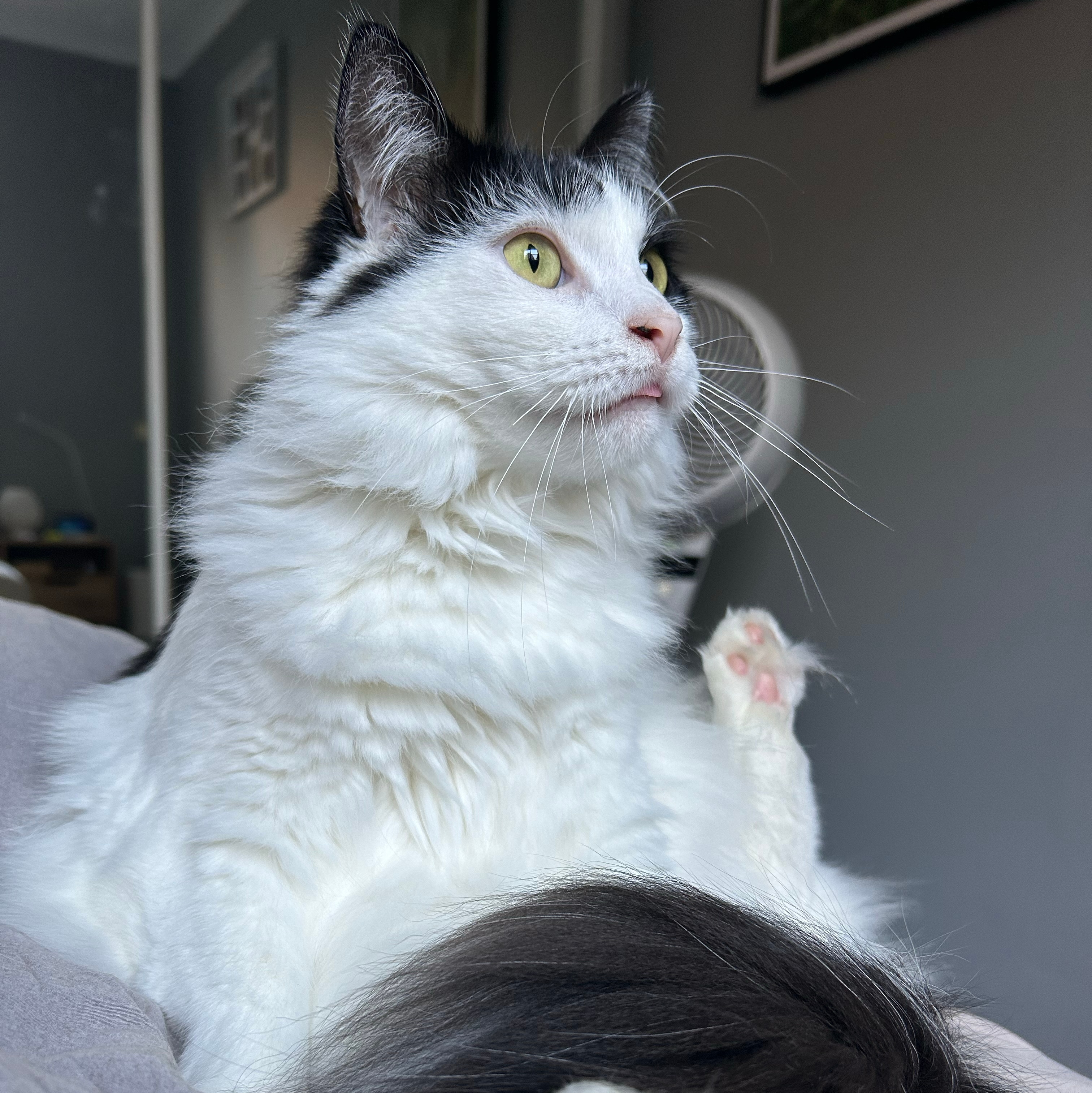 Photo of room in 2203 3